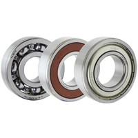 NSK IKO Koyo NTN 6005 6006 6007 6008 6205 6206 6207 6208 6305 6306 6307 6308 6405 6306 6307 6308 Zz 2RS DDU Deep Groove Ball Bearing Price