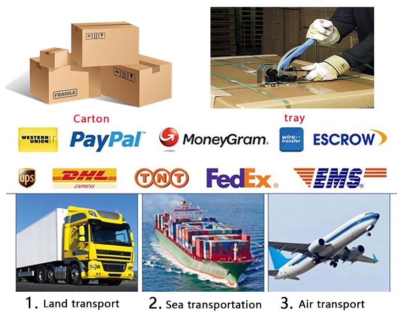 6800 Bearing OEM NSK/NTN/Timken Deep Groove Ball Bearing